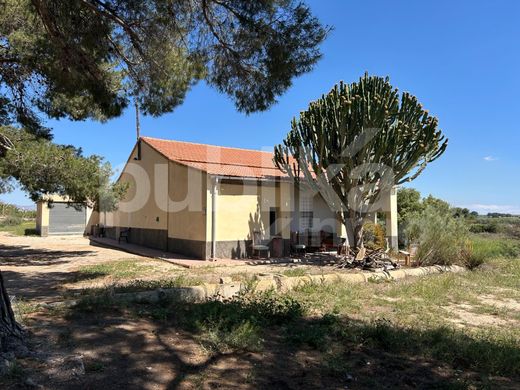 Rustykalny lub Wiejski w Elx, Provincia de Alicante