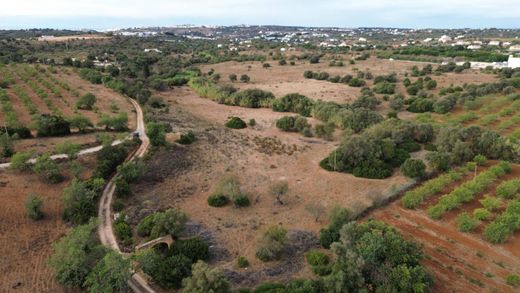 Terreno en Albufeira, Faro