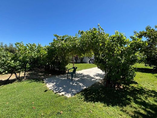 Casa Unifamiliare a Fuente el Saz de Jarama, Provincia de Madrid