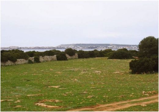 ‏בתים כפריים או חוות ב  Ciutadella, Illes Balears