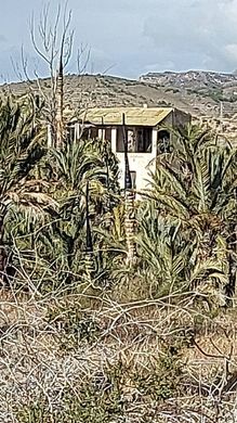 ‏קרקע ב  אלצ'ה, Provincia de Alicante