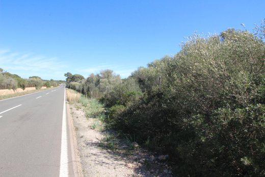 Terrain à Llucmajor, Province des Îles Baléares