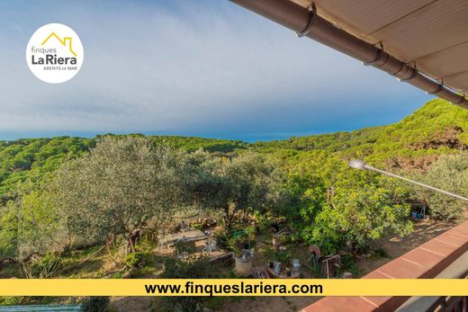 Land in Arenys de Munt, Province of Barcelona