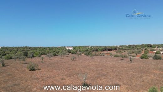 Terrain à ses Salines, Province des Îles Baléares