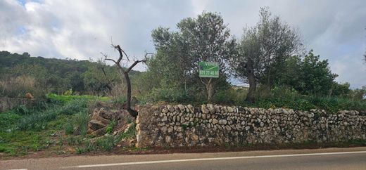 Grundstück in Santa Eugènia, Balearen Inseln