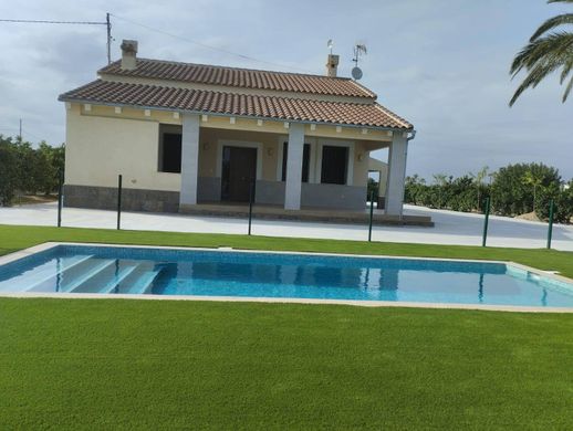 Detached House in Elche, Alicante
