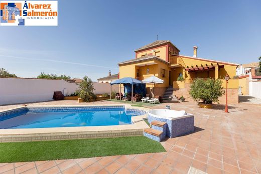 Einfamilienhaus in Albolote, Granada