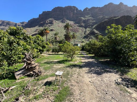 منزل ﻓﻲ San Bartolomé de Tirajana, Provincia de Las Palmas