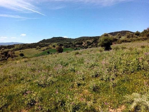 Ρουστίκ ή Αγροικίες σε Casares, Provincia de Málaga