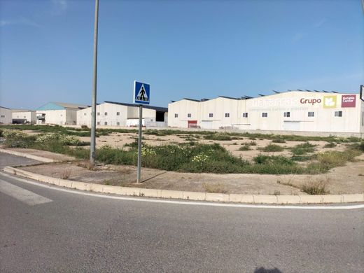Terreno a Almoradí, Provincia de Alicante