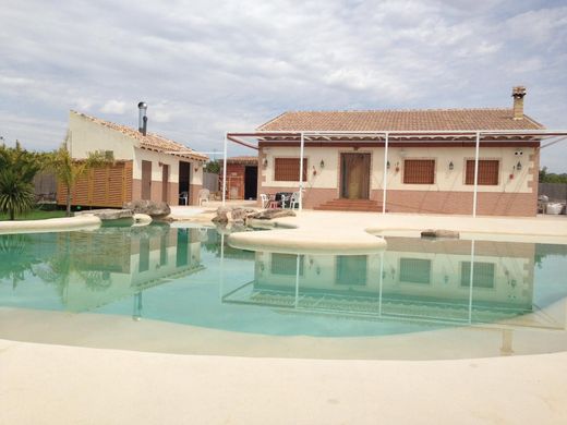 Luxury home in Molina de Segura, Murcia