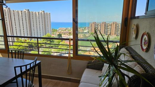 La Condomina, アリカンテのアパートメント