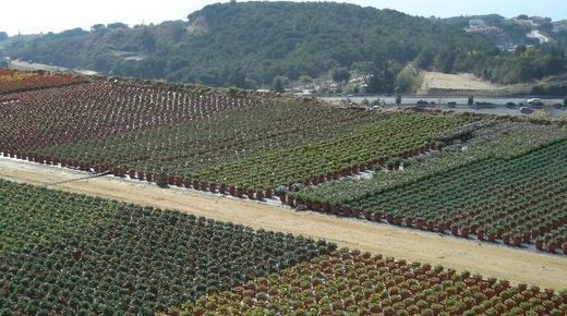 Terreno a Canet de Mar, Província de Barcelona