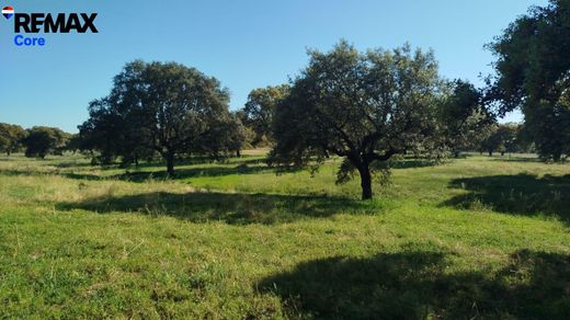 Arsa La Codosera, Provincia de Badajoz