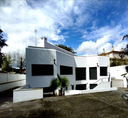 Apartment in Seville, Province of Seville