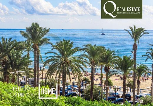 Apartment in Alicante, Valencia