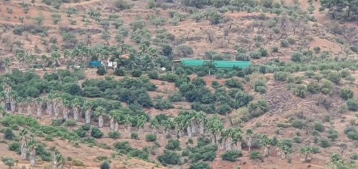 ﻣﻨﺰﻝ ﺭﻳﻔﻲ/ ﺑﻴﺖ ﻤﺰﺭﻋﺔ ﻓﻲ Monda, Provincia de Málaga