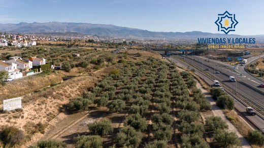 Land in Albolote, Granada