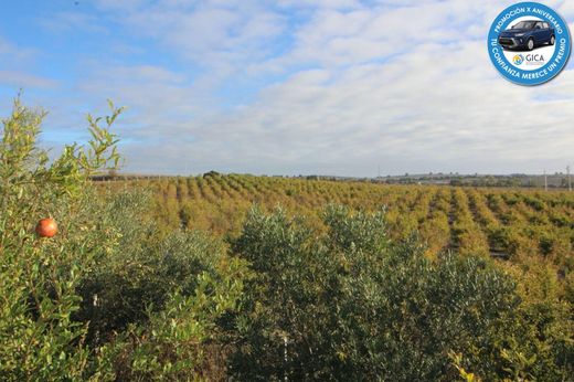 Αγροτεμάχιο σε Jerez de la Frontera, Provincia de Cádiz