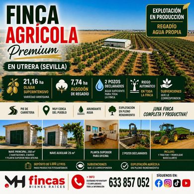 Arsa Utrera, Provincia de Sevilla