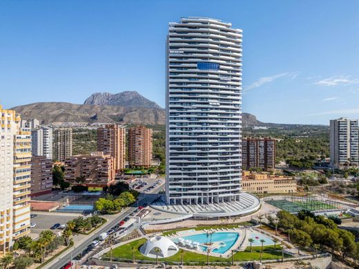 Daire Benidorm, Provincia de Alicante