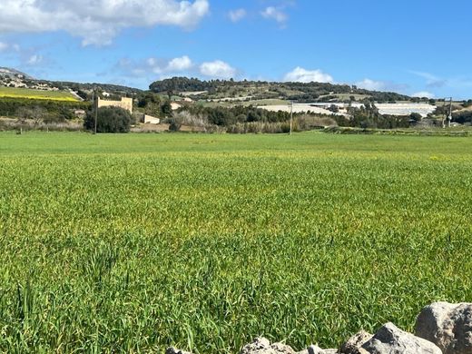 Rural or Farmhouse in Manacor, Province of Balearic Islands