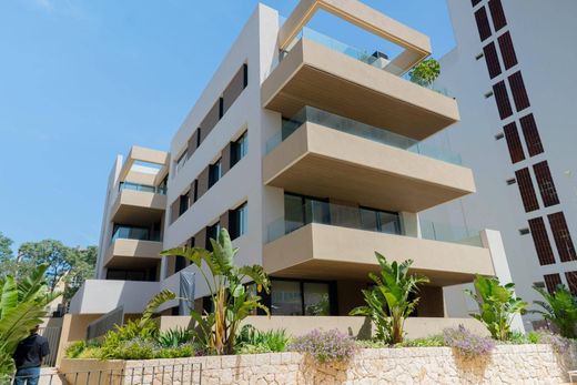 Daire Palma de Mallorca, Illes Balears