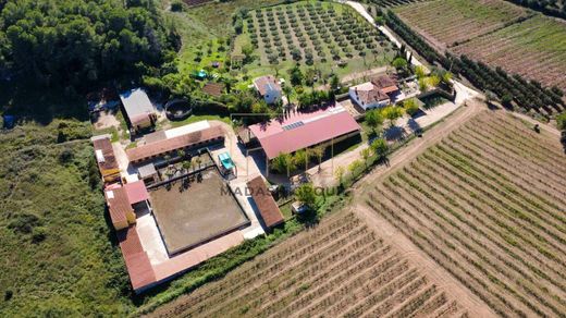 Bonastre, Província de Tarragonaのカントリー風またはファームハウス