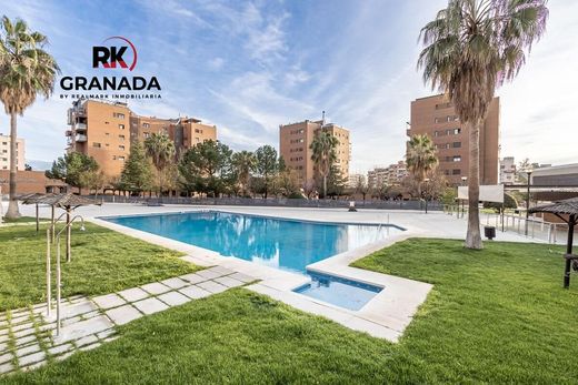 Apartment in Granada, Andalusia