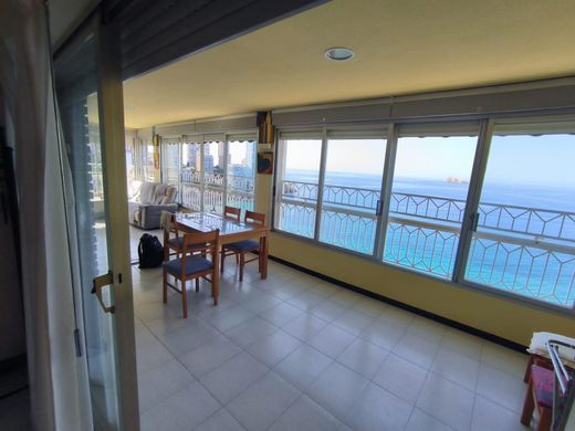 Apartamento - Benidorm, Provincia de Alicante