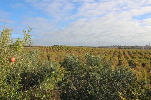 Grond in Jerez de la Frontera, Provincia de Cádiz