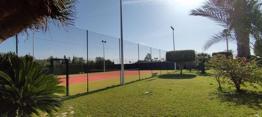 Casa Unifamiliare a Elx, Provincia de Alicante