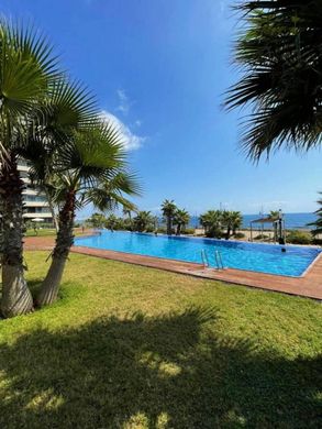 Piso / Apartamento en Torrevieja, Provincia de Alicante