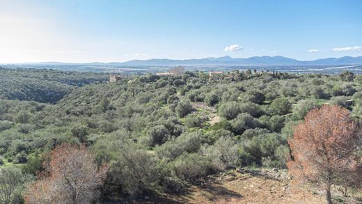 Terreno a Palma di Maiorca, Isole Baleari
