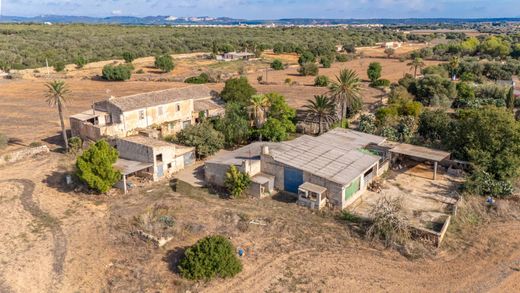 Rustico o Casale a Campos, Isole Baleari