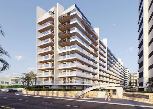 Daire Torrevieja, Provincia de Alicante