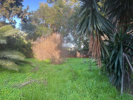 Arsa Sevilla, Provincia de Sevilla