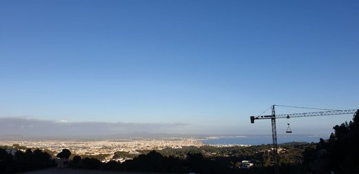 パルマ・デ・マリョルカ, Illes Balearsの土地