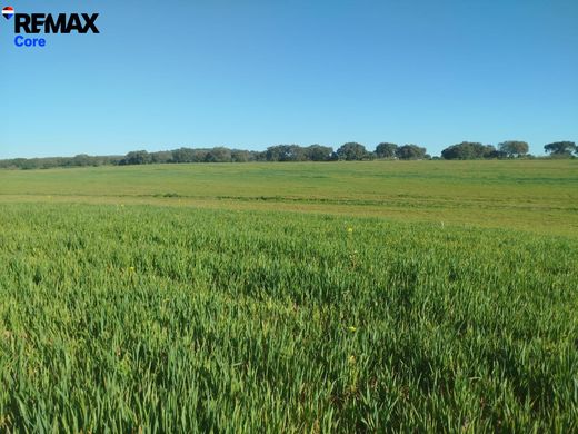 Участок, Мерида, Provincia de Badajoz