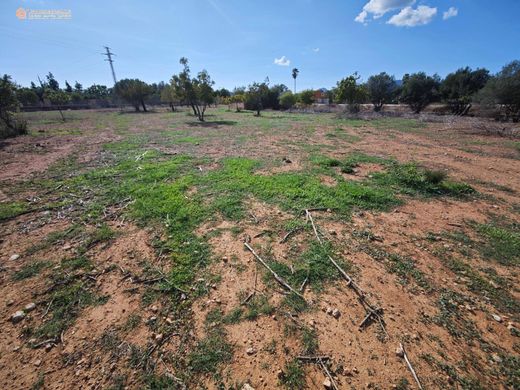 Terreno en Palma de Mallorca, Islas Baleares
