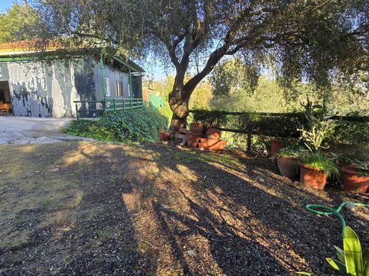 Casa Unifamiliare a Los Barrios, Cadice