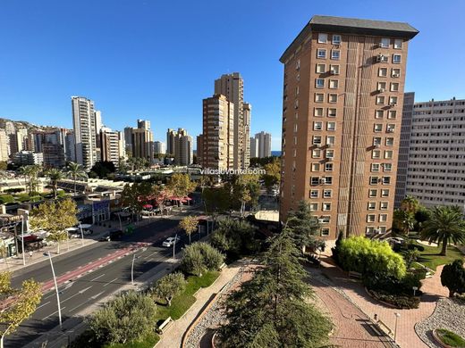 Daire Benidorm, Provincia de Alicante