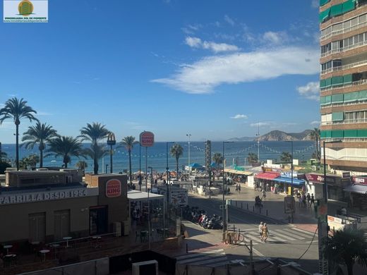 Apartamento - Benidorm, Provincia de Alicante