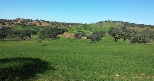 Land in Alosno, Province of Huelva