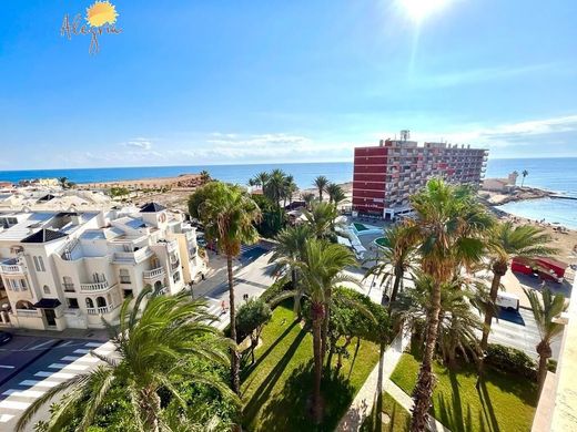 بنتهاوس ﻓﻲ Torrevieja, Provincia de Alicante