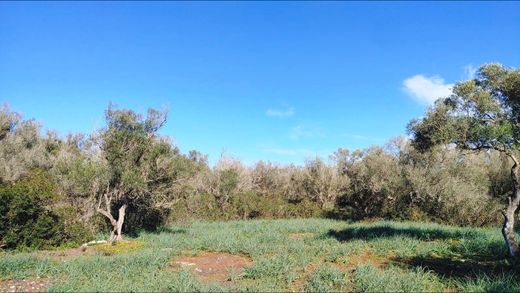 Land in Felanitx, Province of Balearic Islands