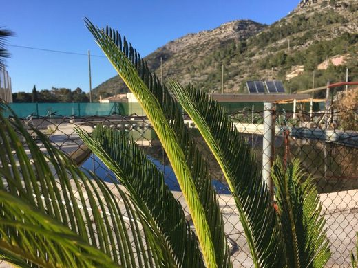 Land in Barx, Valencia