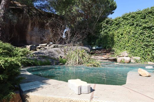 Müstakil ev Pelayos de la Presa, Provincia de Madrid