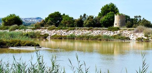 Grundstück in Guardamar del Segura, Alicante