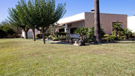Detached House in Port d'Alcudia, Province of Balearic Islands